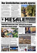 MEŞALE
