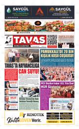 TAVAS BARIŞ