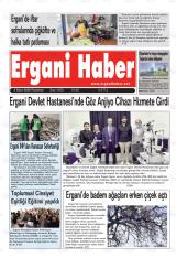 ERGANİ HABER