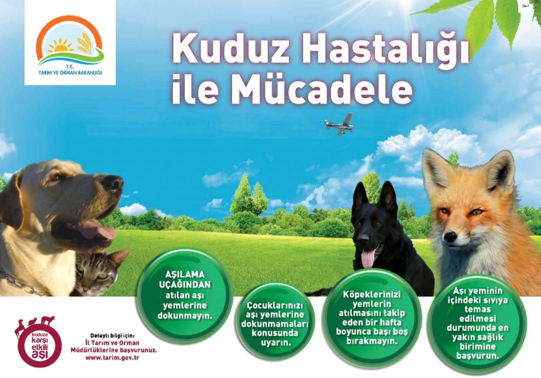 KUDUZLA MÜCADELE İÇİN HAVADAN AŞILAMA ÇALIŞMASI