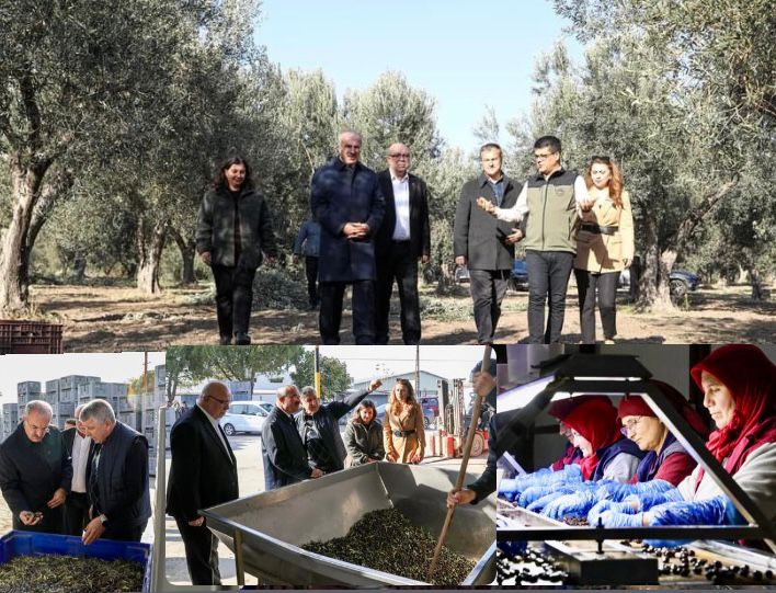 PROTOKOLDEN ZEYTİNYAĞI FABRİKALARINA ZİYARET