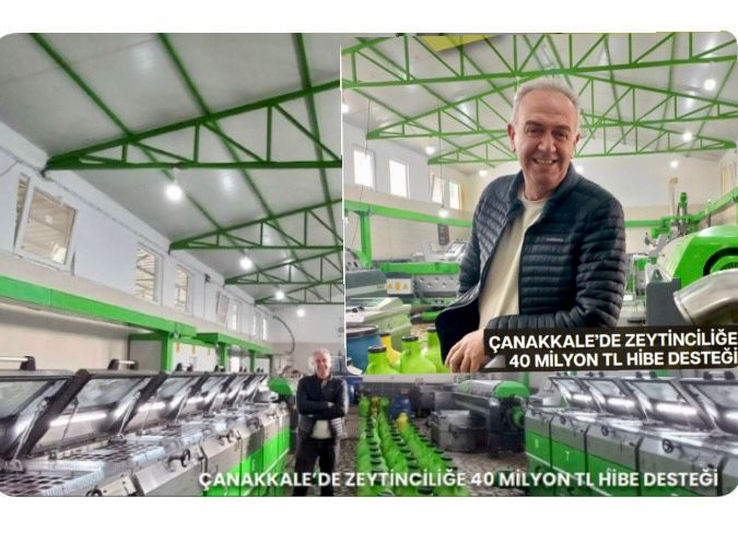 ÇANAKKALE’DE ZEYTİNCİLİĞE 40 MİLYON LİRA HİBE DESTEĞİ