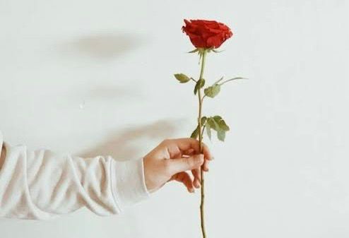 Dilin En Güzel Meyvesi