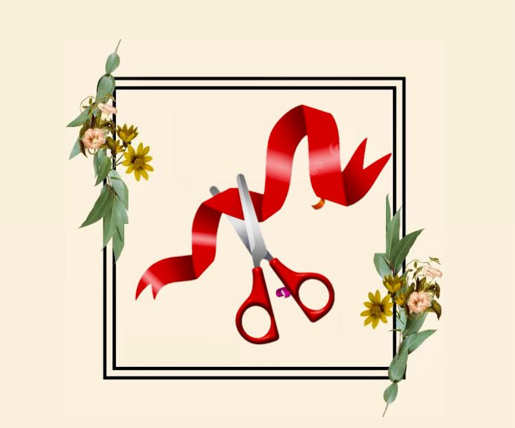 AÇILIŞLAR OLMASA…