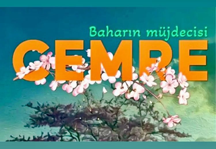 Cemreler, Akla ve Kalbe Düşmeli