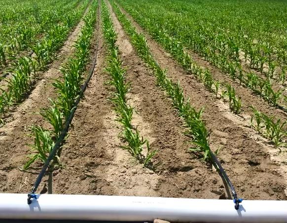 DAMLAMA SİSTEMİ İÇİN ÇOMÜ’DEN YENİLİKÇİ OTOMASYON SİSTEMİ