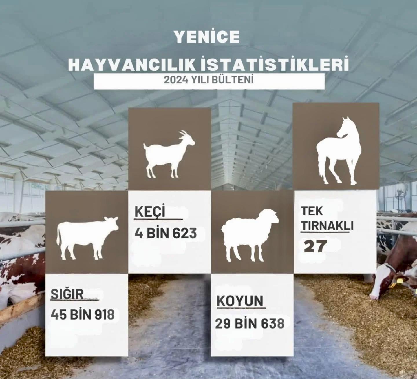 İLÇE TARIM VE ORMAN’DAN YENİCE’DEKİ HAYVANCILIK VERİLERİ
