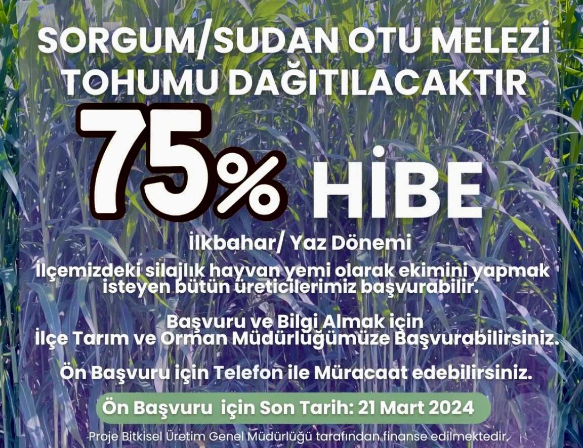 YENİCE İLÇE TARIMDAN SORGUM/SUDAN OTU MELEZİ TOHUMU DAĞITIMI AÇIKLAMASI