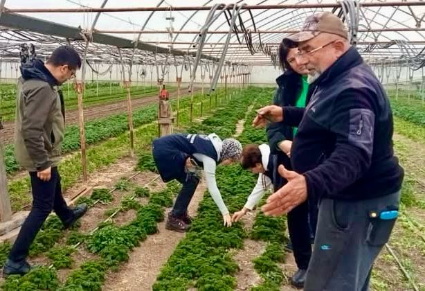 YABANCI OTLARLA MÜCADELE ÇALIŞMALARINA BAŞLANDI