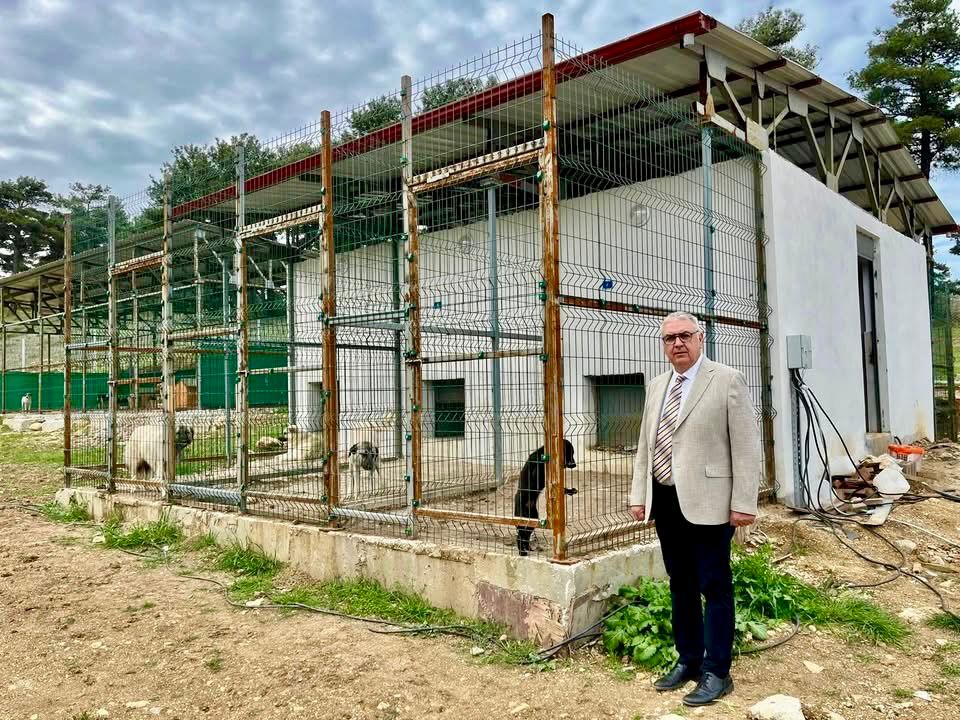 BAYRAMİÇ BELEDİYE BAŞKANINDAN HAYVAN BAKIMEVİNDE İNCELEME