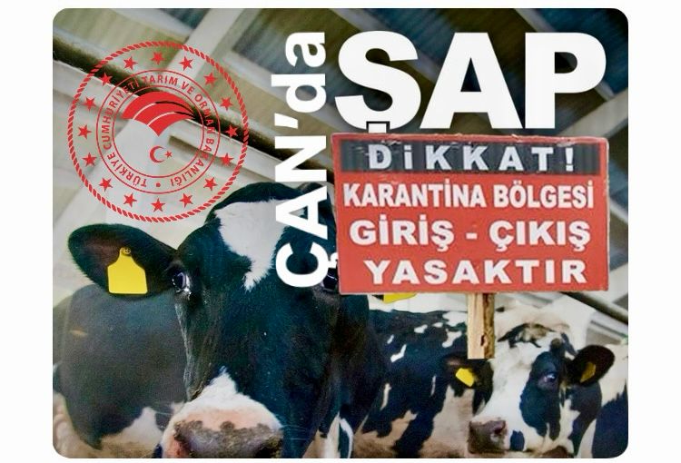 ÇAN’DA BİR KÖYDEKİ İŞLETMEDE ŞAP HASTALIĞI GÖRÜLDÜ…