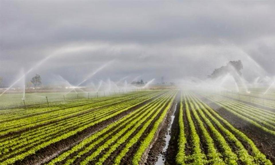 DSİ’DEN YAPAY ZEKALI SULAMA OTOMASYONU HAMLESİ