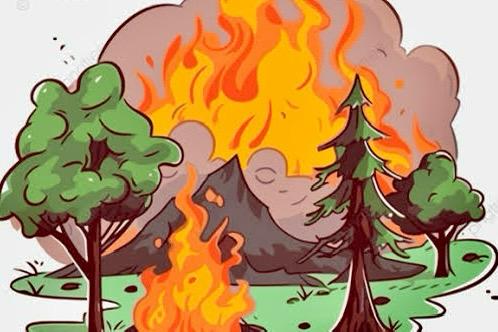 ORMANLIK ALANLARA GİRİŞLER, 1 HAZİRAN’DAN 30 EYLÜL’E KADAR YASAKLANDI