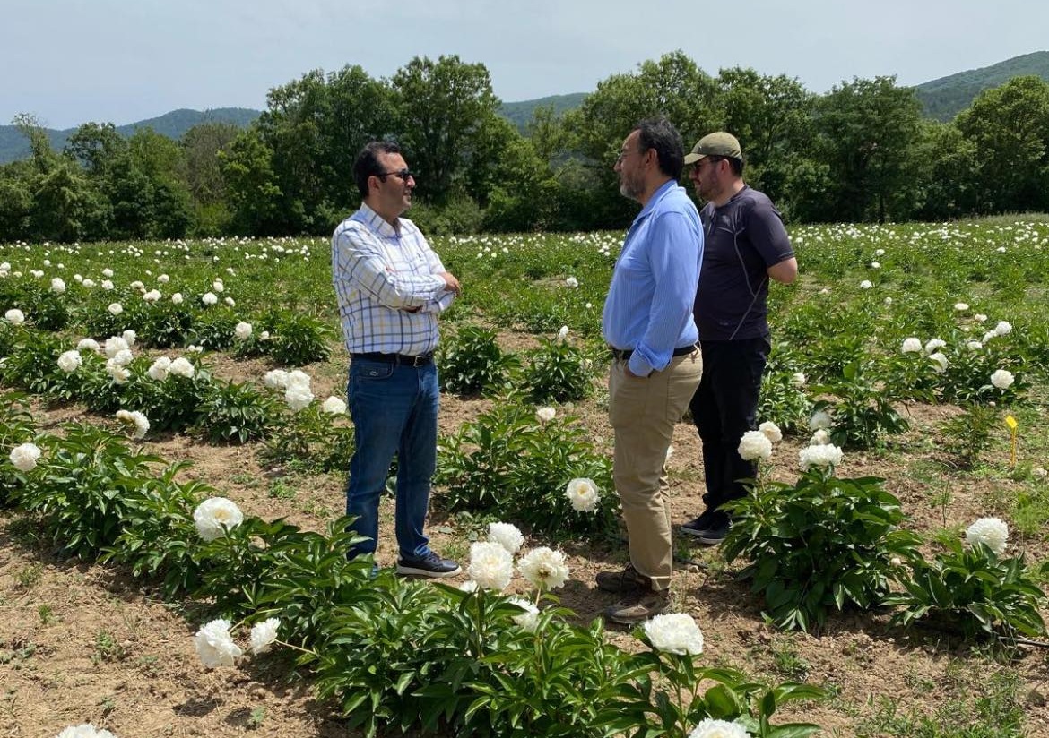 YENİCE BEKTEN’DE ŞAKAYIK ÇİÇEĞİ YETİŞTİRİCİLİĞİ