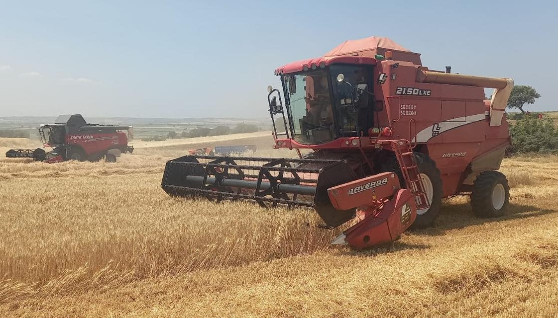 BİÇERDÖVER KONTROLLERİ VE REKOLTE TESPİT ÇALIŞMALARI ARALIKSIZ DEVAM EDİYOR