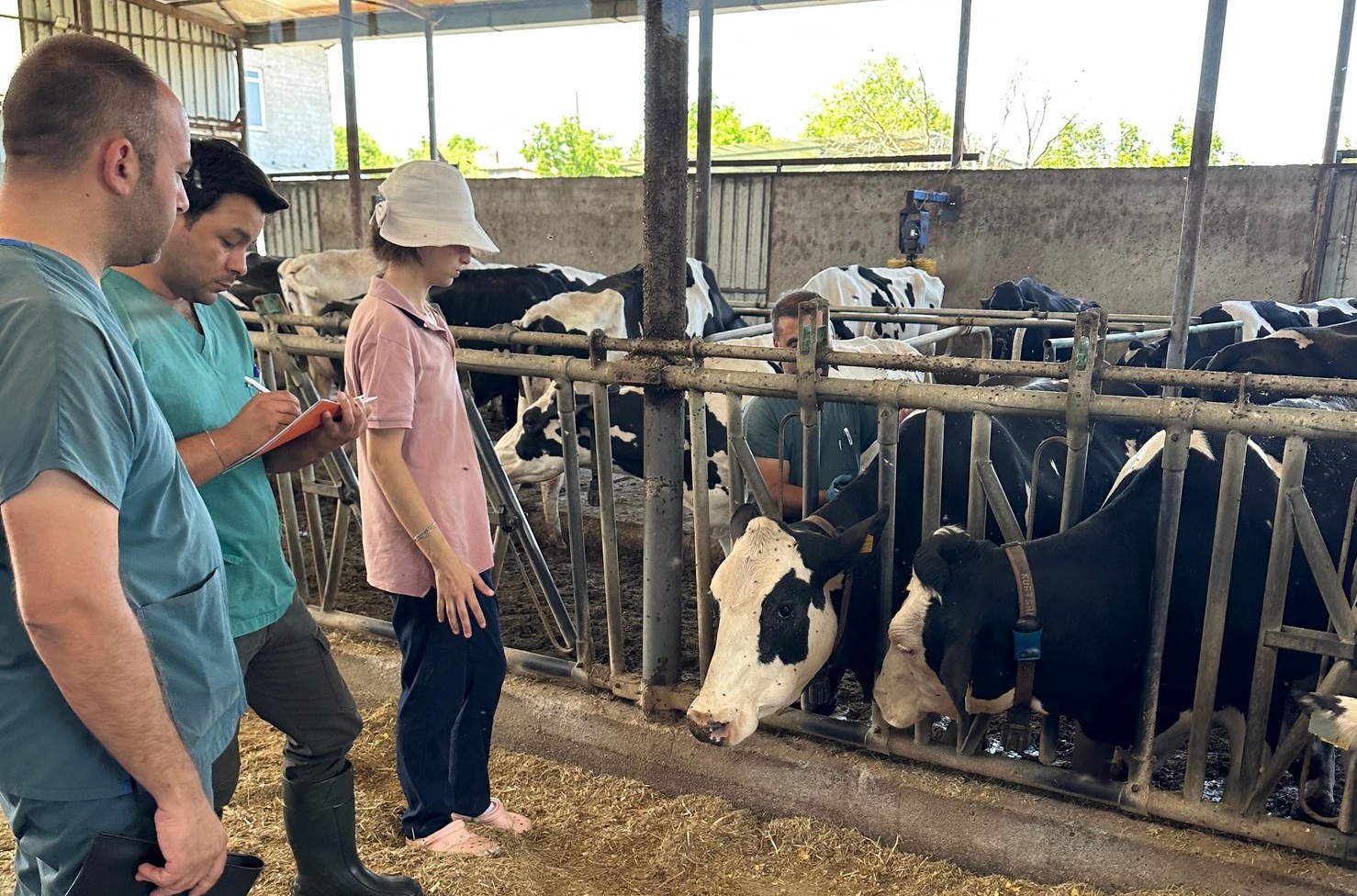 ÇAN İLÇE TARIM MÜDÜRLÜĞÜNDEN HASTALIKTAN ARİ İŞLETME ÇALIŞMALARI