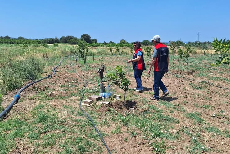 TARIMSAL SULAMA ELEKTRİK ABONELİĞİ BULUNAN ARAZİLERE DENETLEME