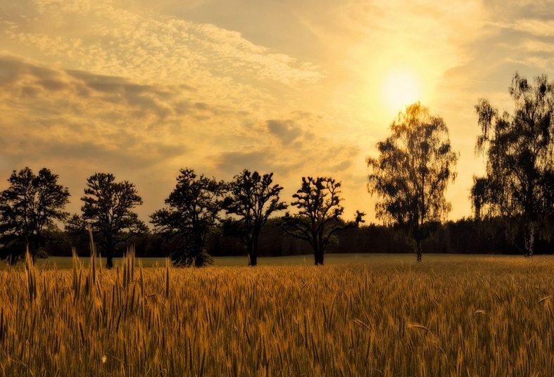Derdim Çoktur Hangisine Yanayım