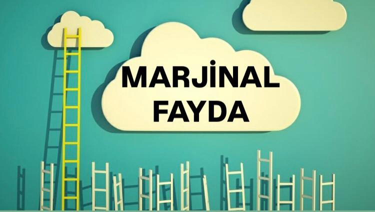 Marjinal Fayda