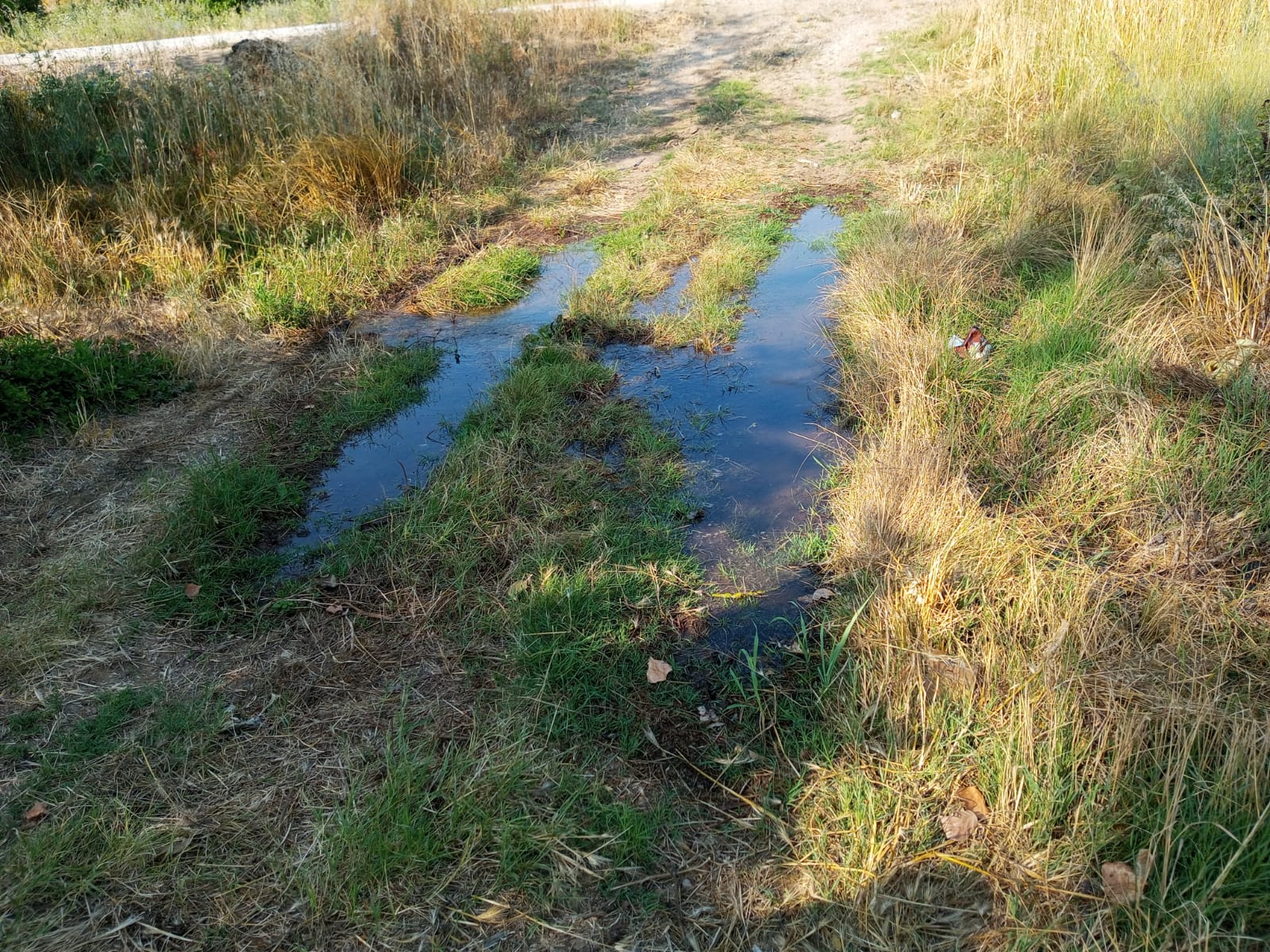 İL ÖZEL İDAREDEN SEMEDELİ’DEKİ SU PATLAĞINA ANINDA MÜDAHALE