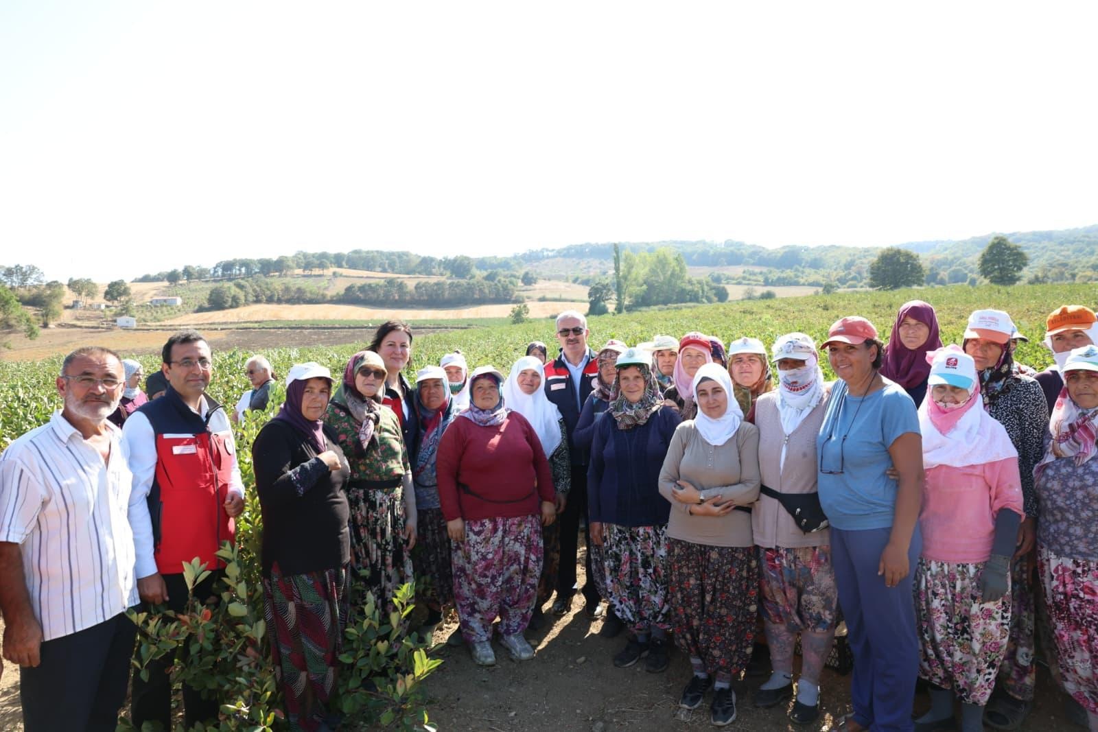 ÇAN’DA ARONYA HASADI TARLA GÜNÜ YAPILDI