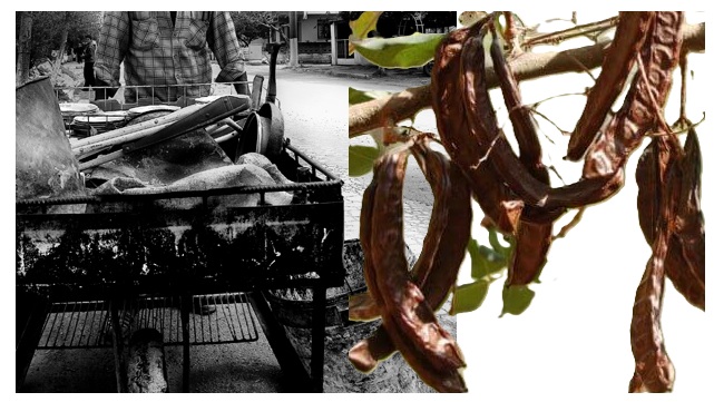 Eskiciler ve Keçiboynuzu Hatırası