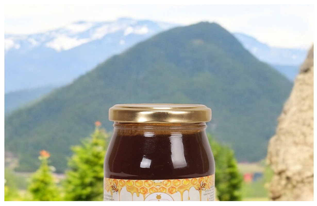 Kazdağlarının Kara Hazinesi: Meşe Balı