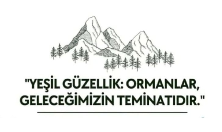Ormanlarımız Çığlık Atıyor