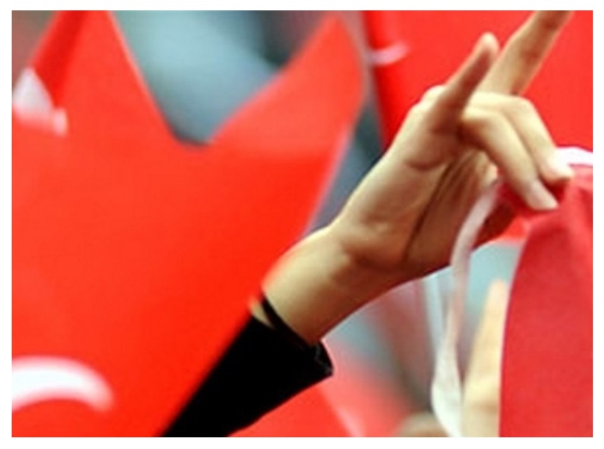 Ülkücülüğün Bugünkü Ayrışması: Birlikten Farklı Yollara