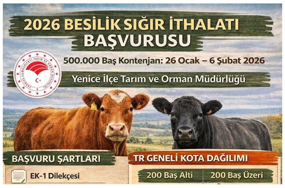 2026 YILI BESİLİK SIĞIR İTHALATI BAŞVURULARI BAŞLIYOR
