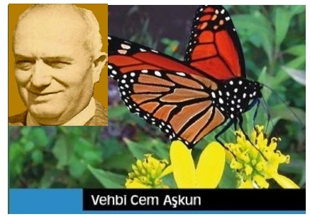 Kurtuluş Türküsünü Çağıran Kızılırmak