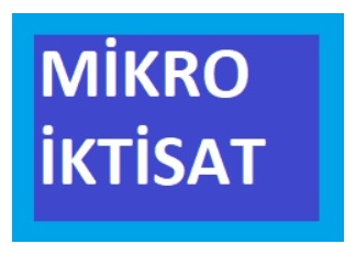 Mikro İktisat