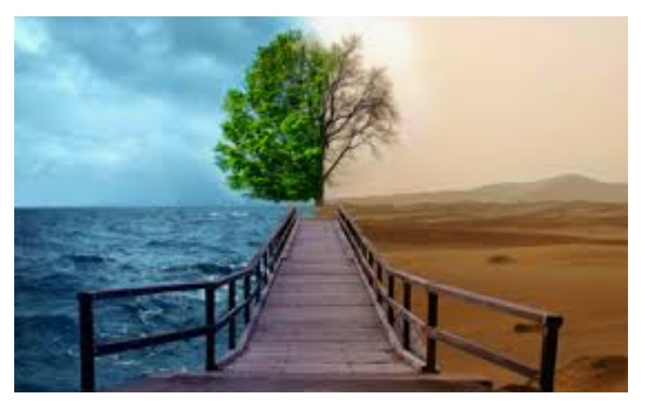 Açlık, Susuzluk, Düşünce