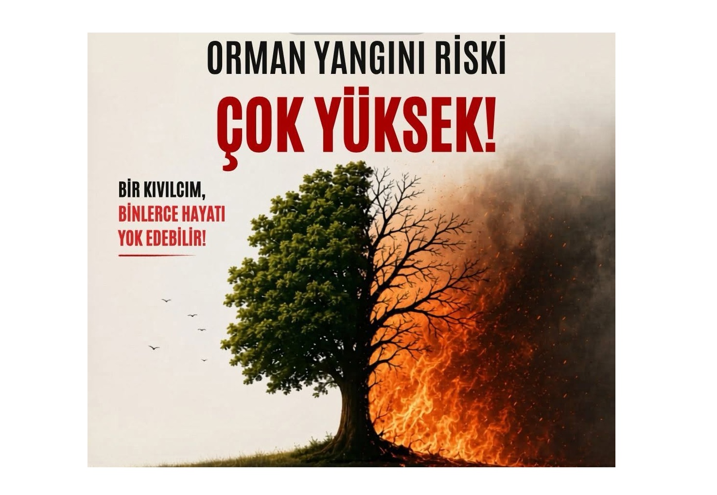 GELECEĞİMİZ İÇİN ORMANLARIMIZI KORUYALIM. DOĞA, İHMAL KABUL ETMEZ.