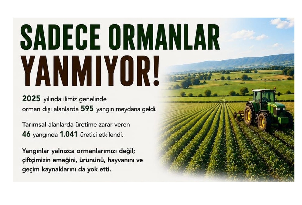 HAZİRAN AYINA DİKKAT… ÇANAKKALE GENELİNDE EN YOĞUN YANGIN BU AYDA YAŞANIYOR…
