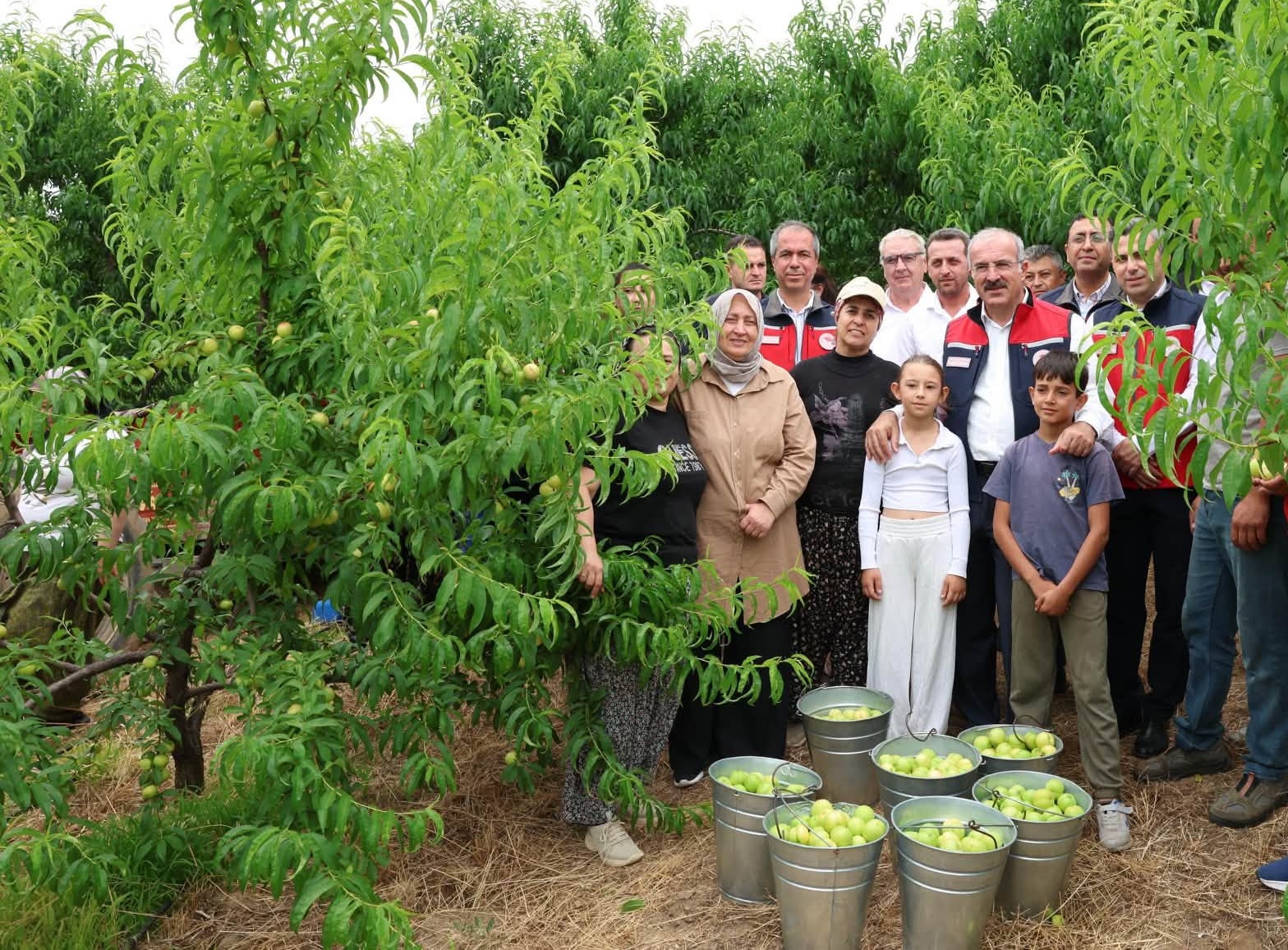 COĞRAFİ İŞARET TESCİLLİ BAYRAMİÇ BEYAZININ HASADI BAŞLADI