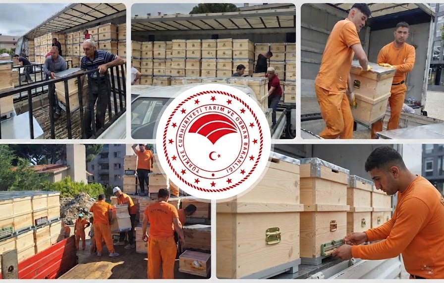 YANGINLARDAN ETKİLENEN ARICILARA İKİ BİN ADET ARI KOVANI DAĞITILDI